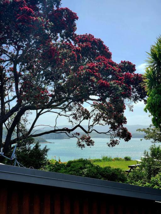 Orca Lodge Raglan Eksteriør billede