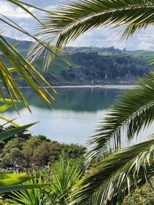 Orca Lodge Raglan Eksteriør billede
