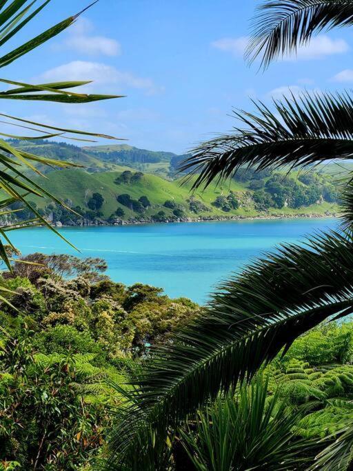 Orca Lodge Raglan Eksteriør billede